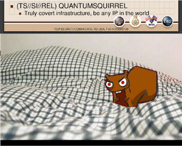 QUANTUMSQUIRREL image from an NSA presentation explaining the QUANTUMSQUIRREL IP host spoofing ability