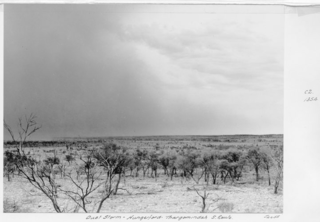 Wyara County, Queensland County in queensland