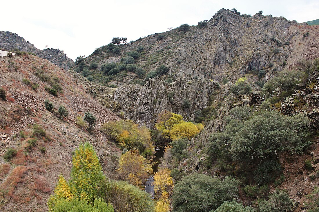 Río de los Jaramillos