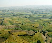 Sugar fields north of Durban in KwaZulu-Natal RSA Sugar Fields.jpg