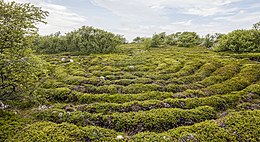 Section of one of the larger stone labyrinths on Bolshoi Zayatsky Island RUS-2016-Bolshoi Zayatsky Island-Stone labyrinth 03.jpg