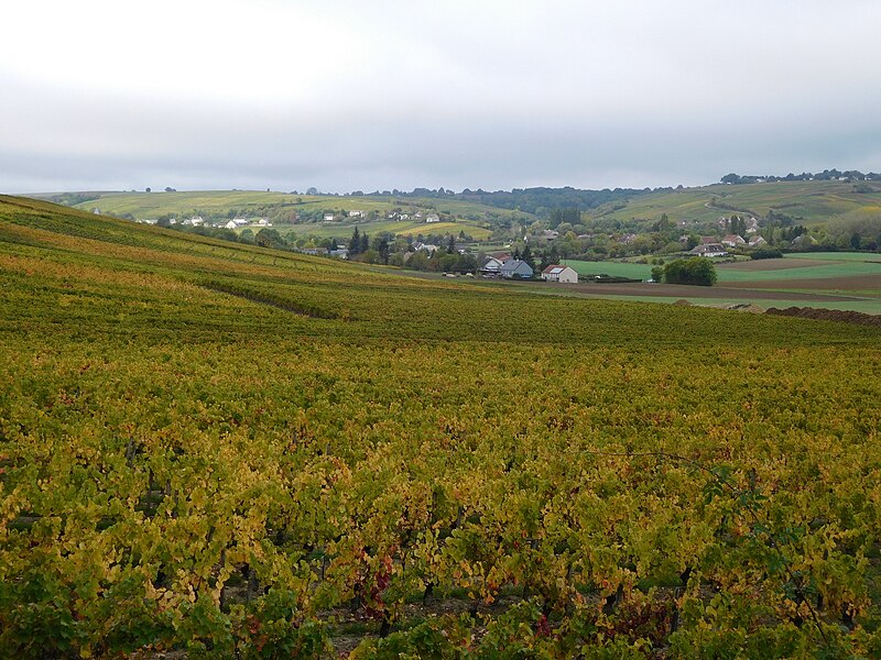 File:Rallye des vignobles 2017, 12, coteau, Sury-en-Vaux.jpg