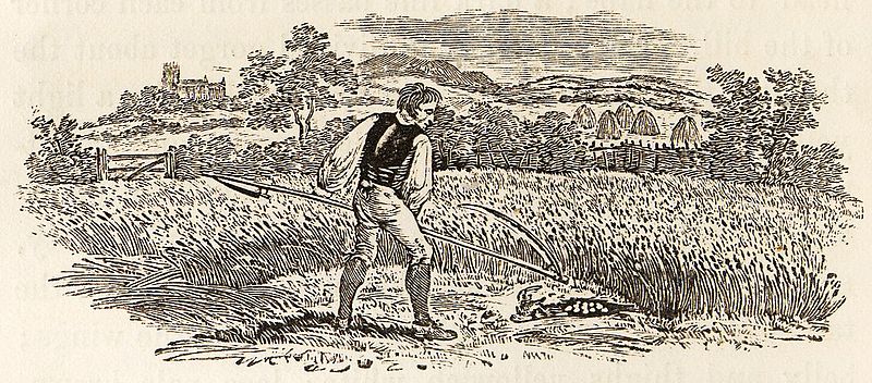 File:Reaper and Partridge Nest tail-piece in Bewick British Birds 1797.jpg