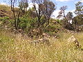 Small disused quarry on west side of the ridge