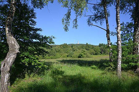 Reifenberger Wiesen und Feldberg