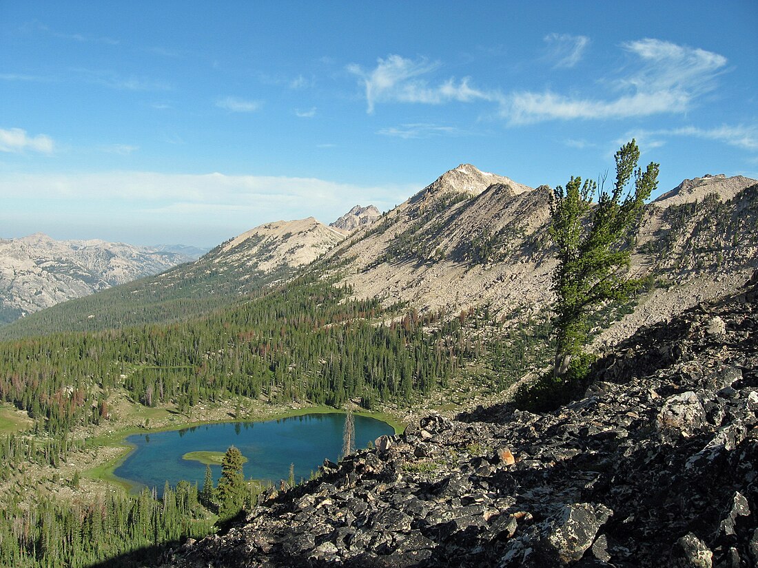 Elk Peak (bukid sa Tinipong Bansa, Idaho)