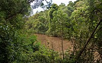 Ecorregión Selva Paranaense