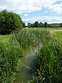 Polski: Rezerwat przyrody Brzeg Jeziora Cheb - połączenie jeziora Chebdy z jeziorem Słupiono. Na horyzoncie widać jezioro Słupino. English: Nature reserve Brzeg Jeziora Cheb