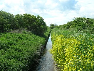 <span class="mw-page-title-main">River Hertford</span> River in North Yorkshire, England