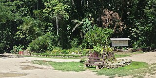 <span class="mw-page-title-main">Honiara Botanic Gardens</span>