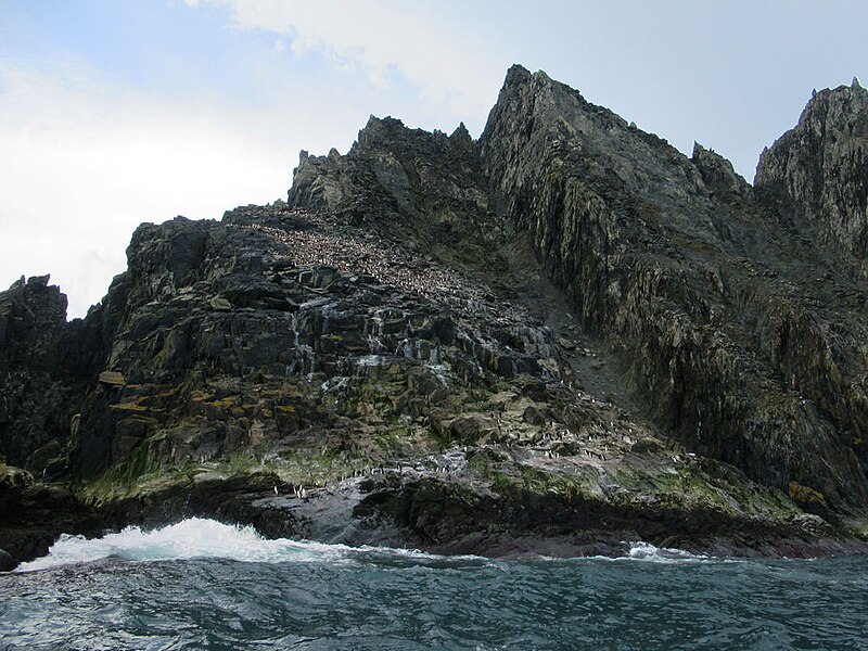 File:Rowett Island (52001972006).jpg