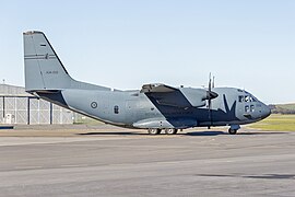 Royal Australian Air Force (A34-009) Alenia C-27J Spartan at Wagga Wagga Airport (2).jpg
