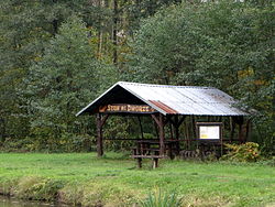 Rudnik nad Sanem - Staw we Dworze - wiata