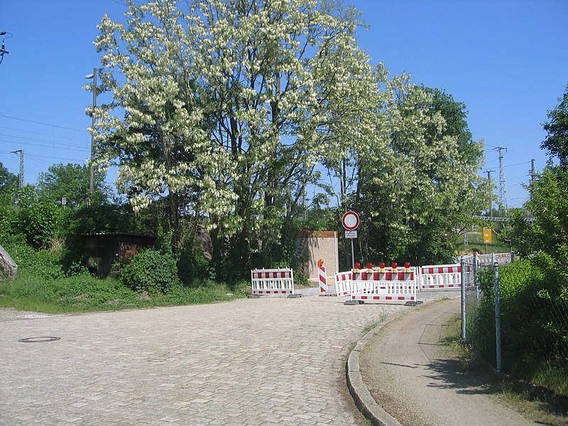 File:Ruhland, Querstr., Südansicht bei Hausnr. 1, blühende Robinien und Baustelle.jpg