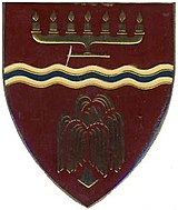 SADF дәуірі Cachet Commando emblem.jpg