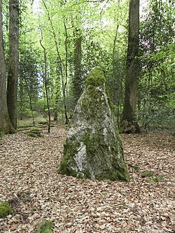 Suuntaa-antava kuva Haute-Sèven metsän pysyvistä menhiristä