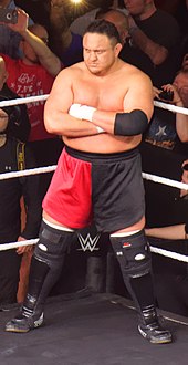 Joe at NXT TakeOver: Dallas in April 2016, before his title match against NXT Champion Finn Balor. Samoa Joe NXT Takeover Dallas 2016 P2.jpg