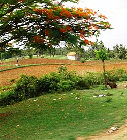 Sathenahalli Dorf