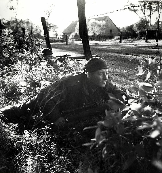 File:Scout of the Calgary Highlanders advancing north of Kappellen, October 1944.jpg