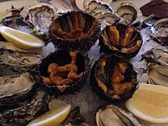 Sea urchins served amid oysters.JPG