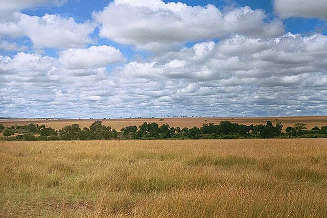 File:Serengeti.JPG