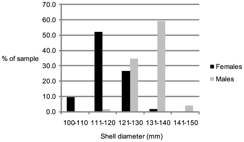 File Sexual Dimorphism In Mature Male And Female Nautilus Pompilius Png Wikimedia Commons