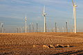Shiloh IV Wind Turbines at Sunset.jpg
