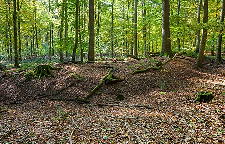 Siekholzer Schanze Schieder Schwalenberg