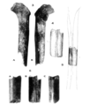 Sinanthropus Femora I and II.png