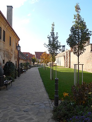 Trnava: Geografia, Dejiny, Obyvateľstvo