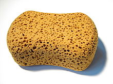 sponge - Wiktionary, the free dictionary