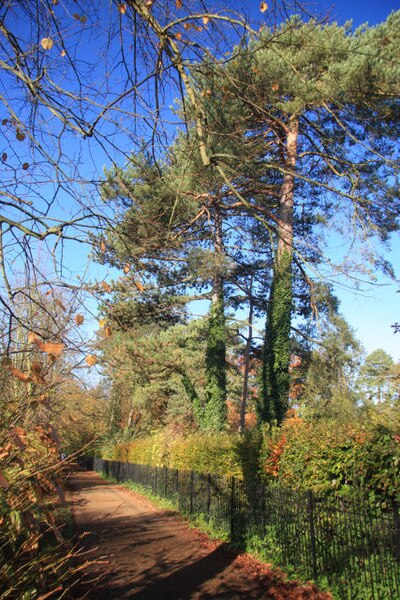 File:Spring Walk, Thetford - geograph.org.uk - 1028739.jpg