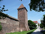 City wall with gate and citizen tower