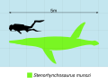 Thumbnail for File:Stenorhynchosaurus Scale.svg