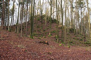 Stieglerfelsen on Mayersberg near Hörmannsdorf (2013)