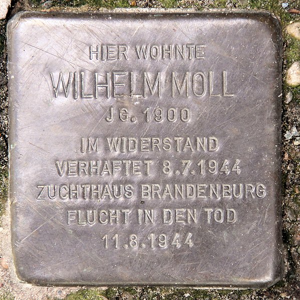 File:Stolperstein Wittelsbacherstr 34 (Wilmd) Wilhelm Moll.jpg