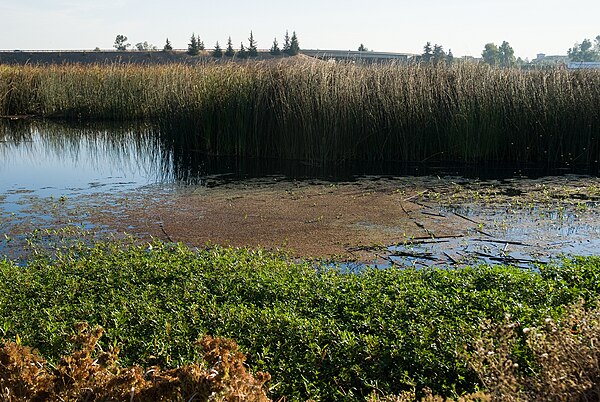 Image: Stone Lakes National Wildlife Refuge 2