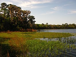 Suggs Lake.jpg