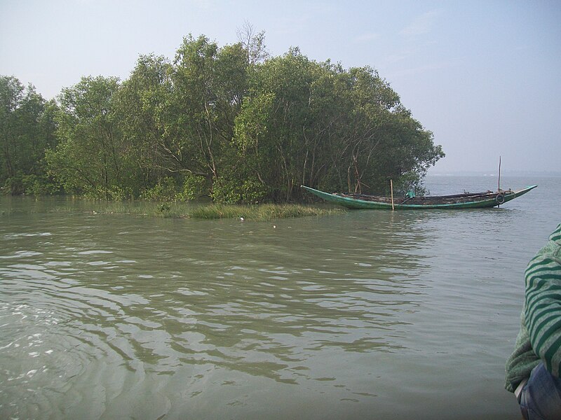 File:Sundarban Forest 15.jpg