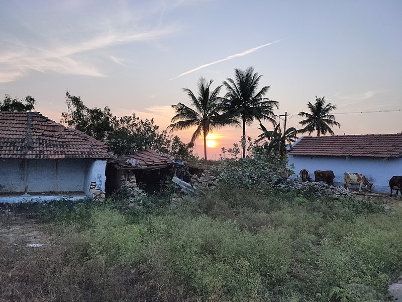 File:Sunset near houses in rural parts of Coimbatore District.jpg