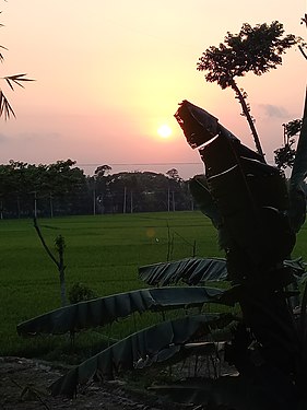 Sunsets in Chondimura,Barura, Cumilla