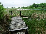 Čeština: Zahrádecký rybník v přírodní památce Tábor - Zahrádka u vsi Zahrádka, což je část města Tábor, Jihočeský kraj. English: Zahrádecký pond in the natural monument Tábor - Zahrádka near the town of Tábor, South Bohemian Region, Czech Republic.