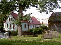 Třískolupy