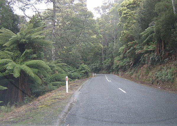 Tasman Highway Between Scottsdale and St Helens