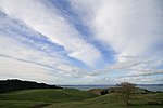 Thumbnail for Te Rau Pūriri Regional Park