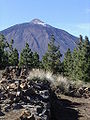 Near Teide, Tenerife