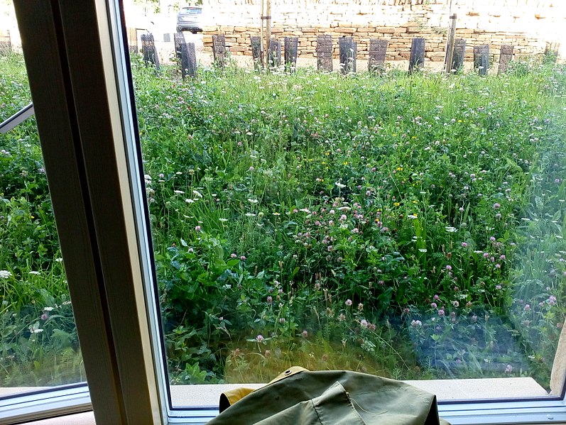 File:The Sill new Youth hostel on Hadrian's wall i-has wild flowers.jpg