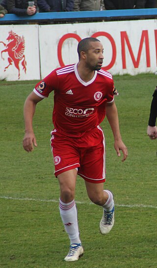 <span class="mw-page-title-main">Thierry Audel</span> French footballer