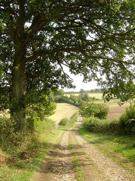 File:Tinker's Lane, Bentworth - geograph.org.uk - 240536.jpg