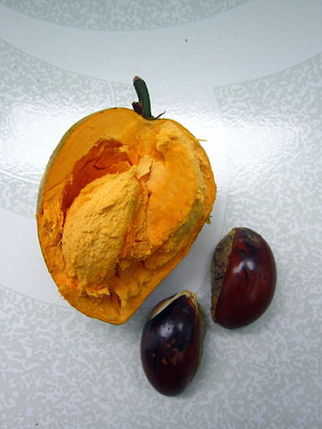 ثمرة فاكهة اللوكوما من الداخل بالاضافة الى البذور 